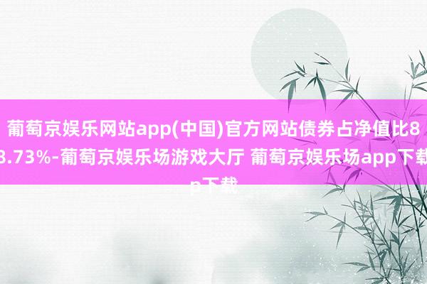 葡萄京娱乐网站app(中国)官方网站债券占净值比88.73%-葡萄京娱乐场游戏大厅 葡萄京娱乐场app下载