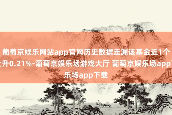 葡萄京娱乐网站app官网历史数据走漏该基金近1个月上升0.21%-葡萄京娱乐场游戏大厅 葡萄京娱乐场app下载