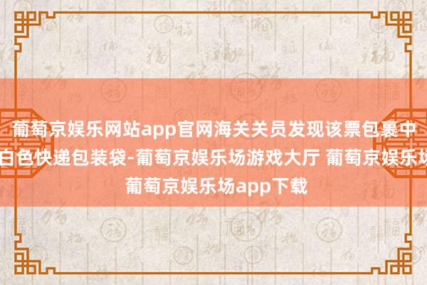 葡萄京娱乐网站app官网海关关员发现该票包裹中有10包灰白色快递包装袋-葡萄京娱乐场游戏大厅 葡萄京娱乐场app下载